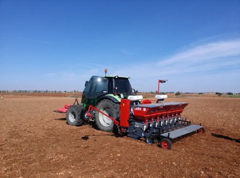 planteuse d'ail
